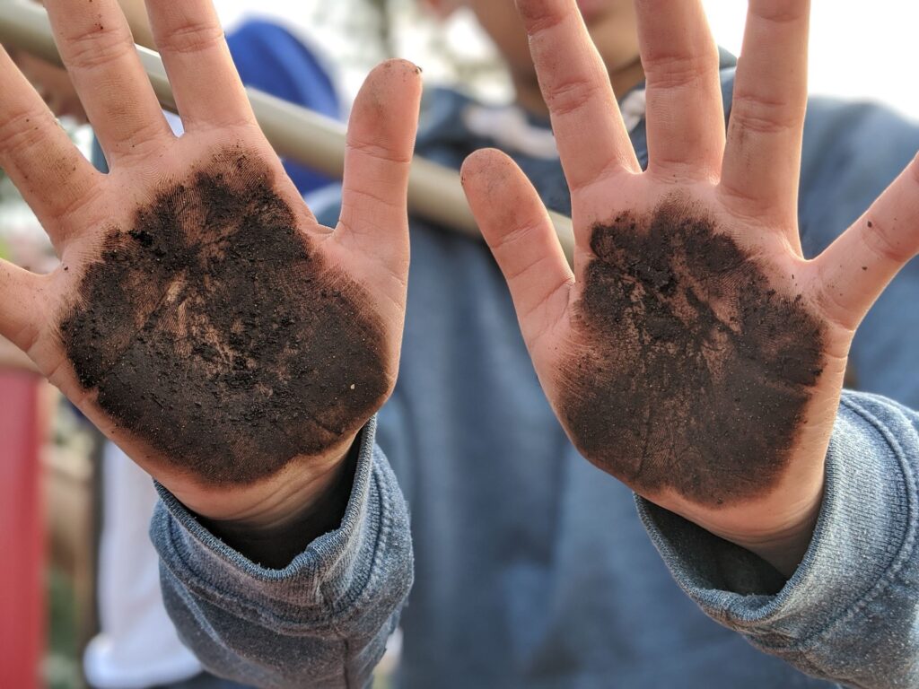 soil covered palms