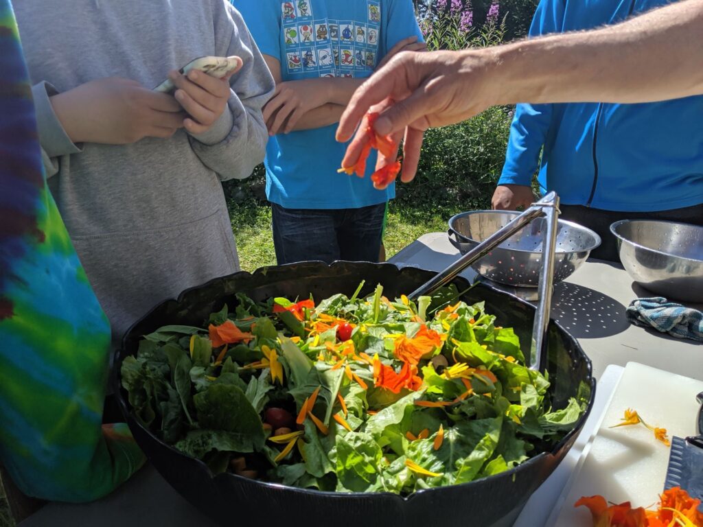 summer garden salad