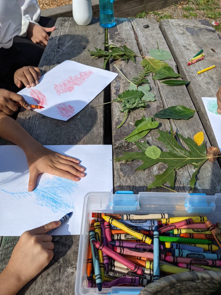 leaf rubbings