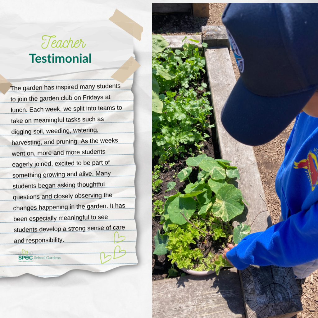 Teacher Testimonial #2