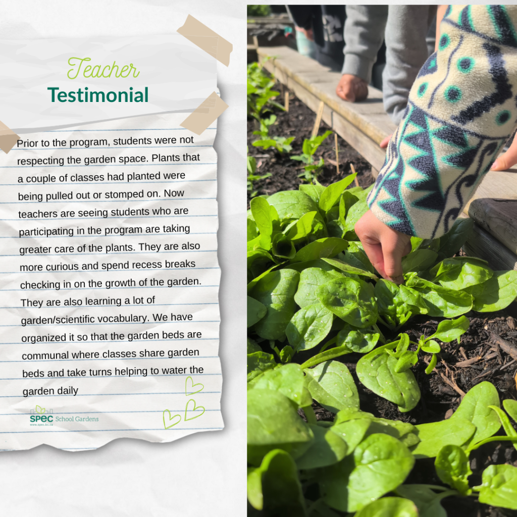 Teacher Testimonial #3