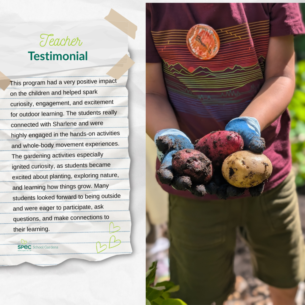 Teacher Testimonial #4