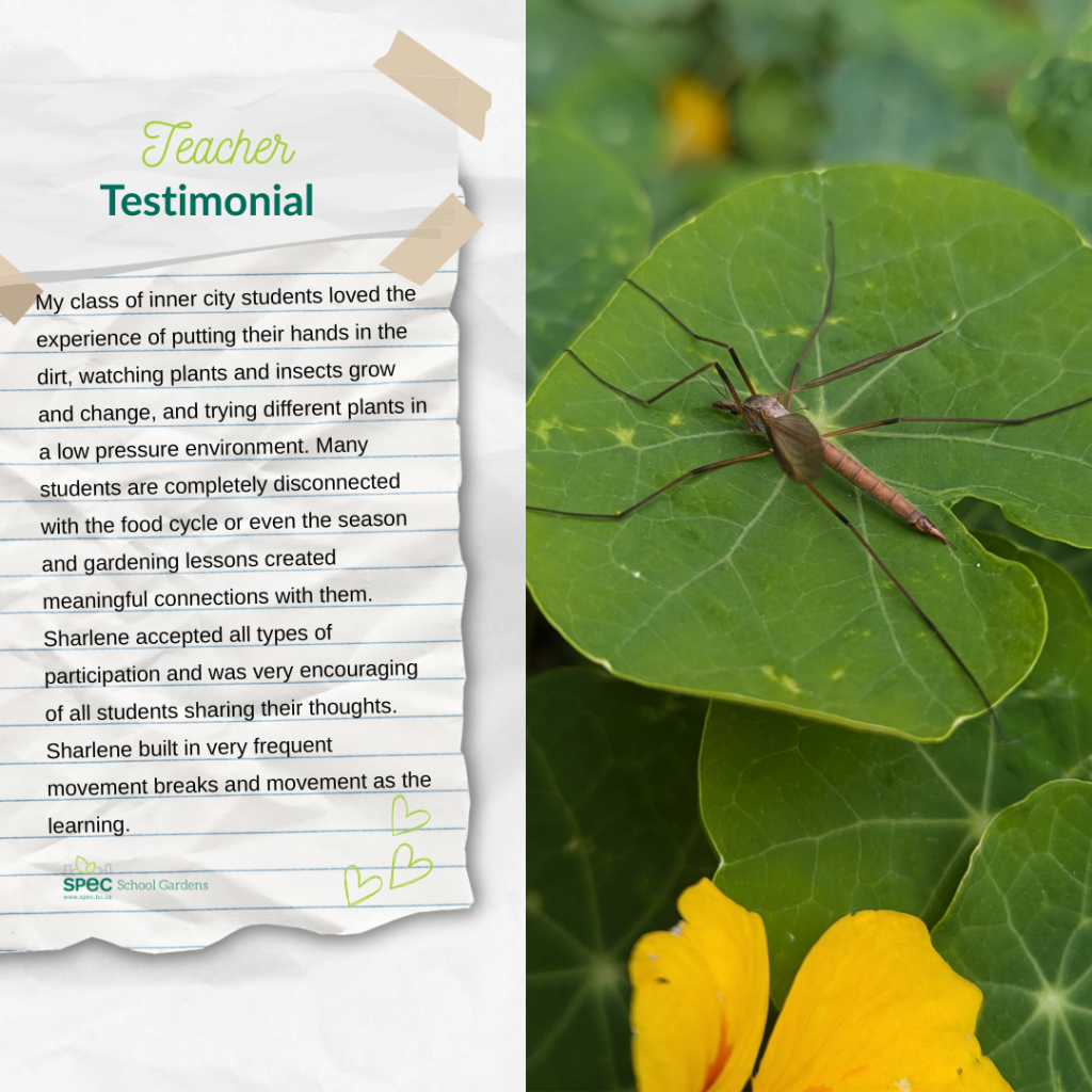 Teacher Testimonial #5
