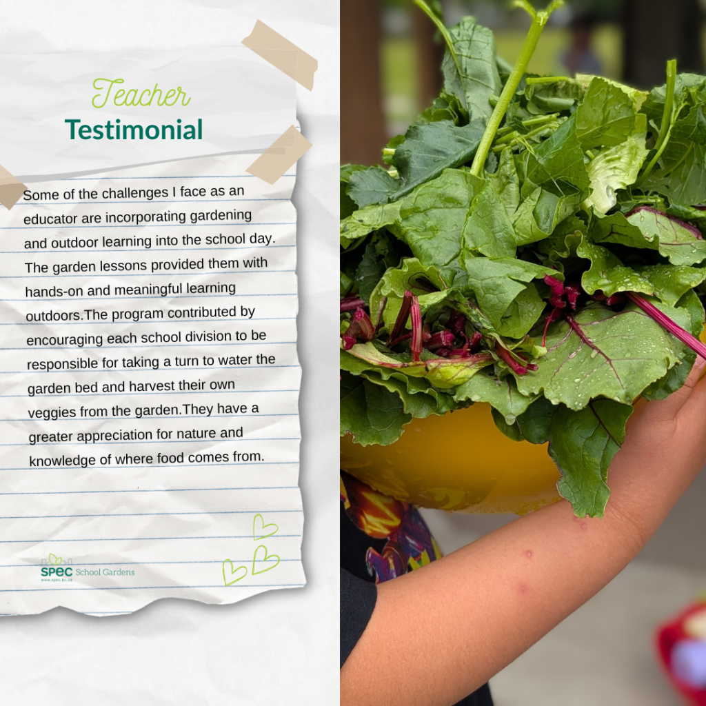Teacher Testimonial #6
