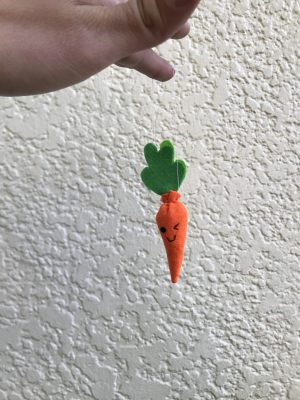 Handmade carrot on a string, given to school gardens intern.